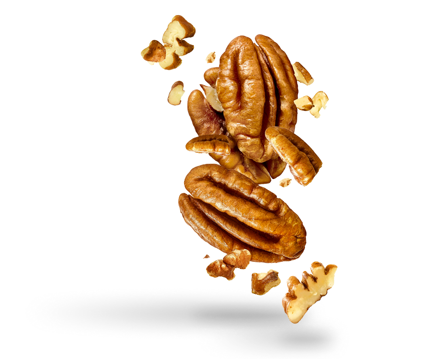 Crack Open The Power of <span class="bg-orange">Pecans</span>